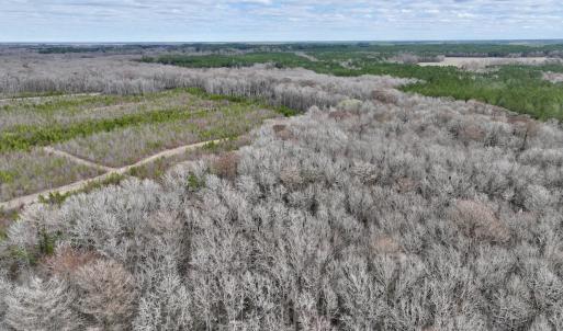 Photo #20 of 90000 Sheppard Mill Rd, Greenville, NC 254.0 acres