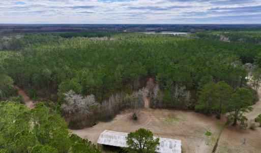 Photo #3 of 90000 Sheppard Mill Rd, Greenville, NC 254.0 acres