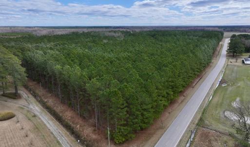 Photo #5 of 90000 Sheppard Mill Rd, Greenville, NC 254.0 acres