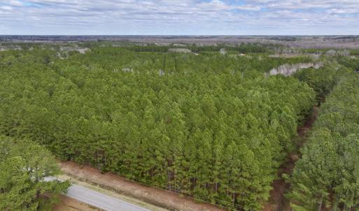 Photo #7 of 90000 Sheppard Mill Rd, Greenville, NC 254.0 acres