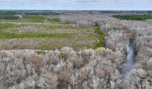 Photo #21 of 90000 Sheppard Mill Rd, Greenville, NC 254.0 acres