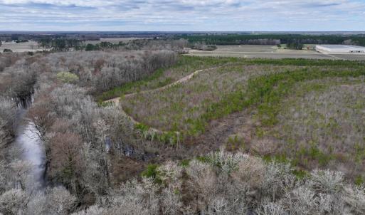 Photo #26 of 90000 Sheppard Mill Rd, Greenville, NC 254.0 acres