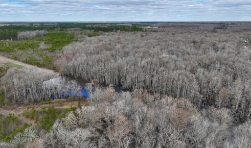 Photo #27 of 90000 Sheppard Mill Rd, Greenville, NC 254.0 acres