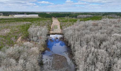 Photo #28 of 90000 Sheppard Mill Rd, Greenville, NC 254.0 acres