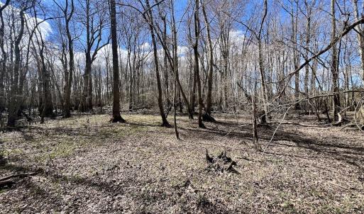 Photo #29 of 90000 Sheppard Mill Rd, Greenville, NC 254.0 acres