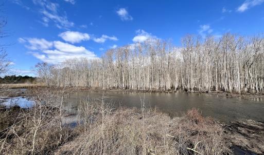 Photo #30 of 90000 Sheppard Mill Rd, Greenville, NC 254.0 acres
