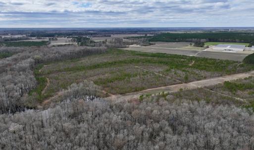 Photo #34 of 90000 Sheppard Mill Rd, Greenville, NC 254.0 acres