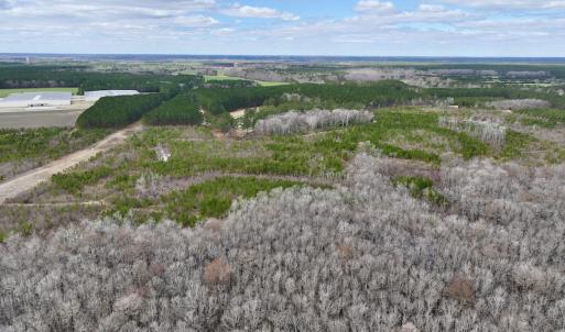 Photo #35 of 90000 Sheppard Mill Rd, Greenville, NC 254.0 acres
