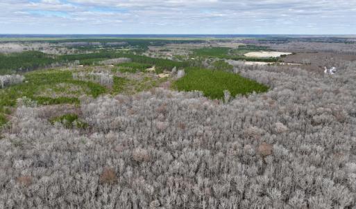 Photo #36 of 90000 Sheppard Mill Rd, Greenville, NC 254.0 acres