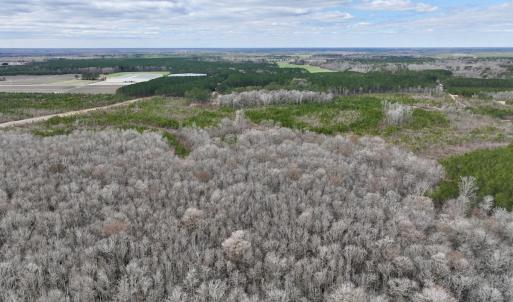 Photo #37 of 90000 Sheppard Mill Rd, Greenville, NC 254.0 acres