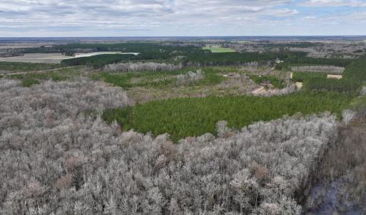 Photo #38 of 90000 Sheppard Mill Rd, Greenville, NC 254.0 acres