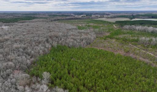 Photo #39 of 90000 Sheppard Mill Rd, Greenville, NC 254.0 acres