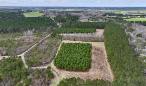 Photo #42 of 90000 Sheppard Mill Rd, Greenville, NC 254.0 acres