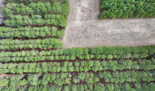 Photo #43 of 90000 Sheppard Mill Rd, Greenville, NC 254.0 acres