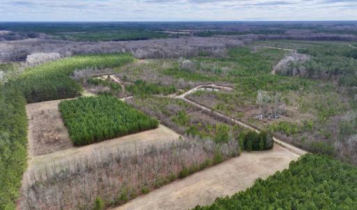 Photo #45 of 90000 Sheppard Mill Rd, Greenville, NC 254.0 acres