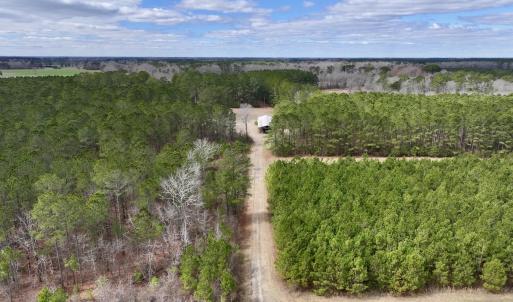 Photo #46 of 90000 Sheppard Mill Rd, Greenville, NC 254.0 acres
