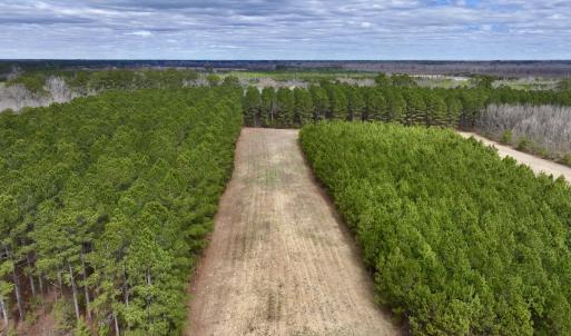 Photo #47 of 90000 Sheppard Mill Rd, Greenville, NC 254.0 acres