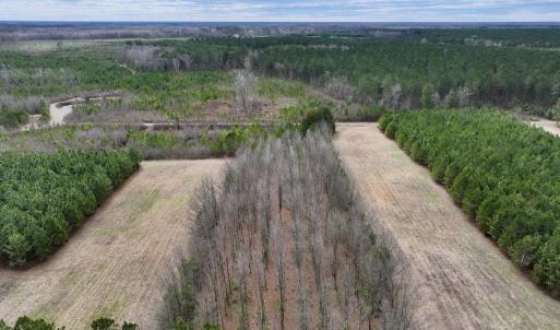 Photo #48 of 90000 Sheppard Mill Rd, Greenville, NC 254.0 acres