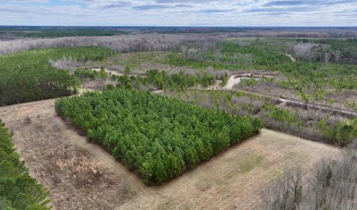 Photo #49 of 90000 Sheppard Mill Rd, Greenville, NC 254.0 acres