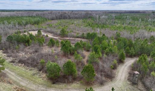 Photo #50 of 90000 Sheppard Mill Rd, Greenville, NC 254.0 acres