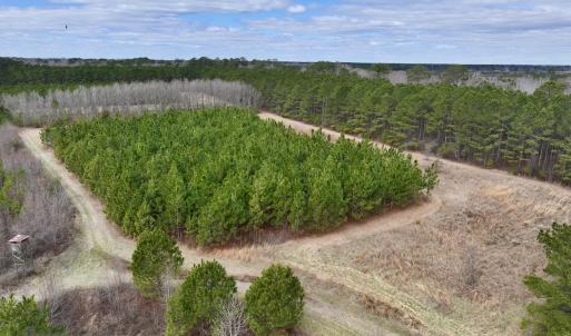 Photo #51 of 90000 Sheppard Mill Rd, Greenville, NC 254.0 acres