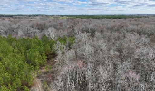 Photo #56 of 90000 Sheppard Mill Rd, Greenville, NC 254.0 acres
