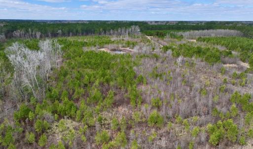 Photo #58 of 90000 Sheppard Mill Rd, Greenville, NC 254.0 acres