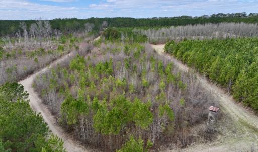 Photo #59 of 90000 Sheppard Mill Rd, Greenville, NC 254.0 acres