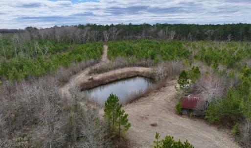 Photo #60 of 90000 Sheppard Mill Rd, Greenville, NC 254.0 acres