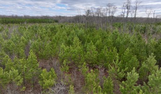 Photo #62 of 90000 Sheppard Mill Rd, Greenville, NC 254.0 acres