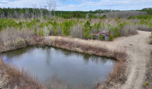 Photo #63 of 90000 Sheppard Mill Rd, Greenville, NC 254.0 acres