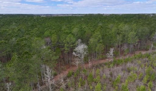 Photo #64 of 90000 Sheppard Mill Rd, Greenville, NC 254.0 acres