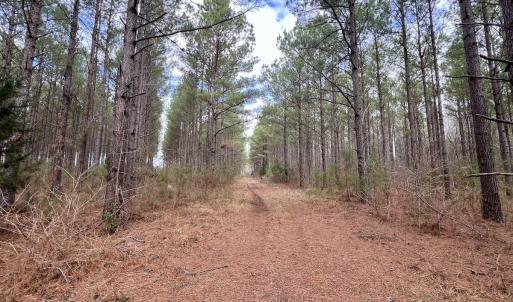 Photo #69 of 90000 Sheppard Mill Rd, Greenville, NC 254.0 acres