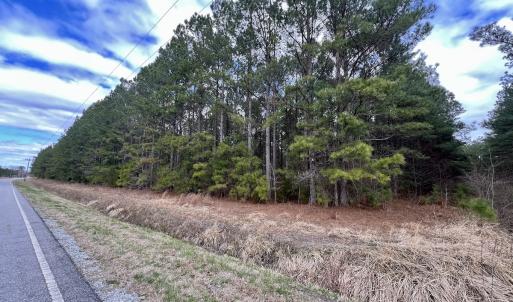 Photo #72 of 90000 Sheppard Mill Rd, Greenville, NC 254.0 acres