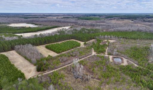 Photo #73 of 90000 Sheppard Mill Rd, Greenville, NC 254.0 acres