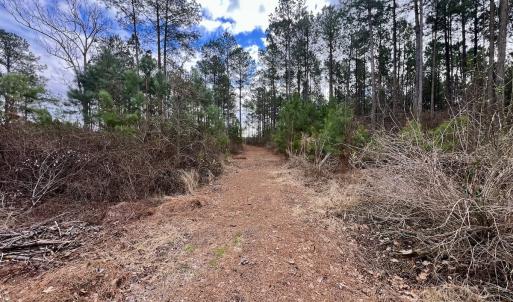 Photo #75 of 90000 Sheppard Mill Rd, Greenville, NC 254.0 acres