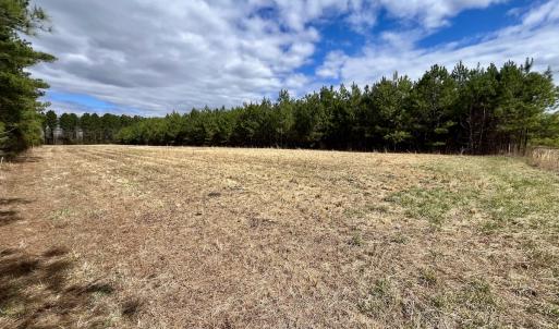 Photo #76 of 90000 Sheppard Mill Rd, Greenville, NC 254.0 acres