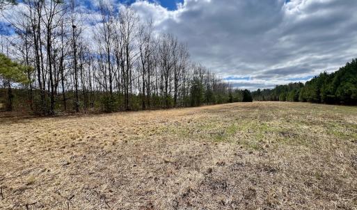Photo #77 of 90000 Sheppard Mill Rd, Greenville, NC 254.0 acres