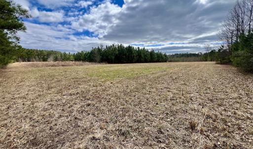 Photo #79 of 90000 Sheppard Mill Rd, Greenville, NC 254.0 acres