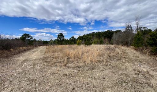 Photo #83 of 90000 Sheppard Mill Rd, Greenville, NC 254.0 acres