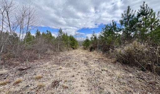 Photo #85 of 90000 Sheppard Mill Rd, Greenville, NC 254.0 acres