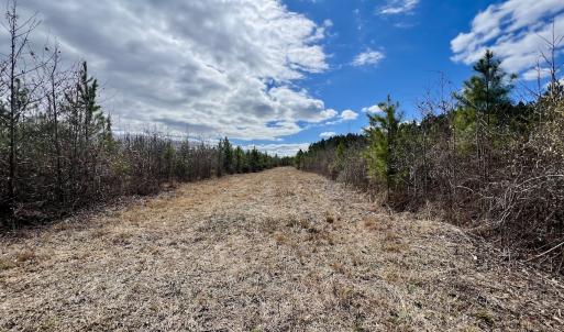 Photo #86 of 90000 Sheppard Mill Rd, Greenville, NC 254.0 acres
