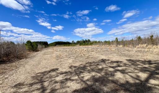 Photo #87 of 90000 Sheppard Mill Rd, Greenville, NC 254.0 acres
