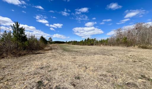 Photo #88 of 90000 Sheppard Mill Rd, Greenville, NC 254.0 acres