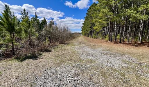 Photo #89 of 90000 Sheppard Mill Rd, Greenville, NC 254.0 acres