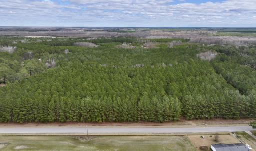 Photo #6 of 90000 Sheppard Mill Rd, Greenville, NC 254.0 acres