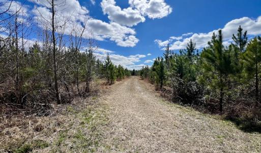 Photo #90 of 90000 Sheppard Mill Rd, Greenville, NC 254.0 acres