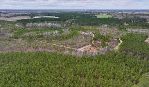 Photo #40 of 90000 Sheppard Mill Rd, Greenville, NC 254.0 acres