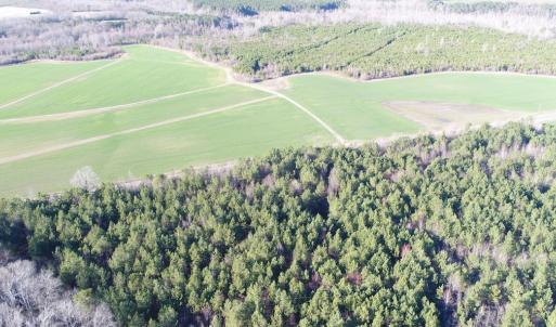 Photo #1 of 973 Mosely Road, Walstonburg, NC 204.2 acres