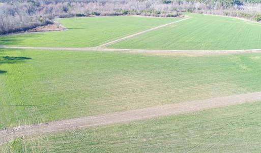 Photo #3 of 973 Mosely Road, Walstonburg, NC 204.2 acres